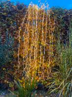 Buiten kerstverlichting, Ophalen of Verzenden, Zo goed als nieuw
