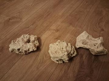 Coral Stenen voor aquarium of territorium  beschikbaar voor biedingen