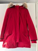 Tommy Hilfiger winterjas, Kleding | Dames, Jassen | Winter, Tommy Hilfiger, Ophalen, Zo goed als nieuw, Rood