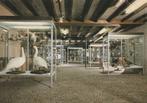 Ansichtkaart Asten Natuurstudiecentrum, Verzamelen, Verzenden, Noord-Brabant