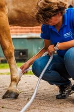 Nano CellCare therapie, Ophalen, Zo goed als nieuw