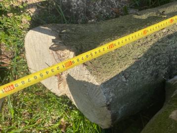 hout voor draaibank of houtsnijden beschikbaar voor biedingen