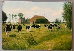 Mooi Friesland, Ophalen of Verzenden, Gelopen, Friesland