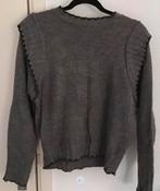 Leuke grijze trui, zwarte bies, merk Lizzy Lou - maat M, Ophalen of Verzenden, Zo goed als nieuw, Maat 38/40 (M), Grijs