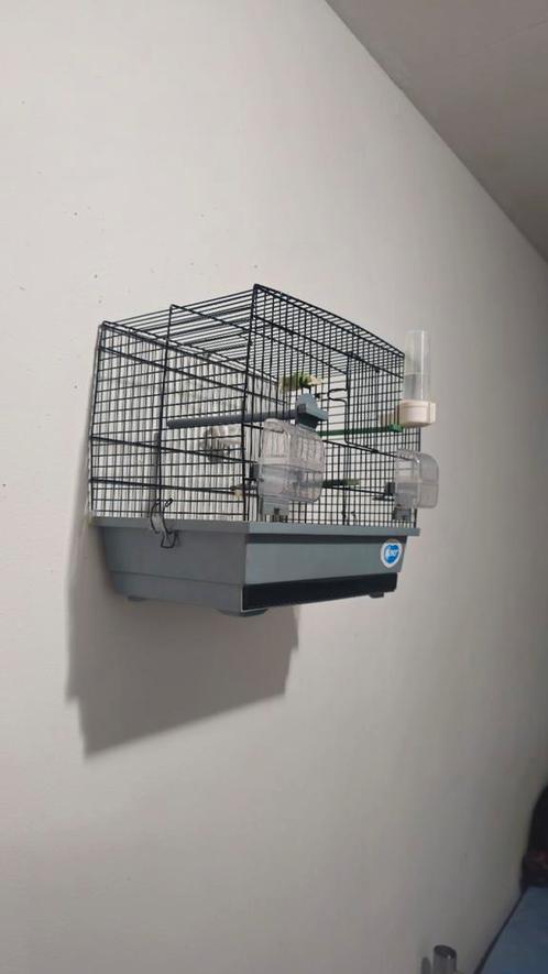 Voegelkooi, Dieren en Toebehoren, Vogels | Hokken en Kooien, Zo goed als nieuw, Ophalen of Verzenden