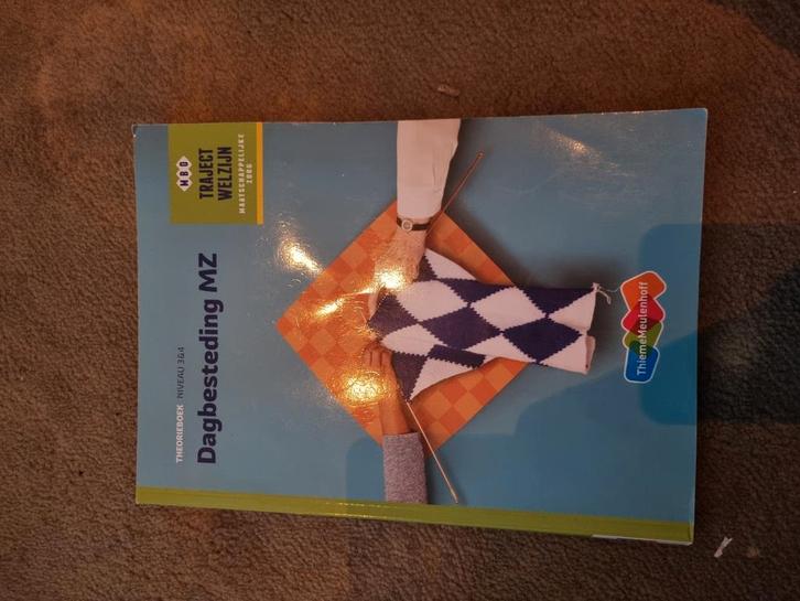 Dagbesteding MZ Theorieboek, Boeken, Schoolboeken, Zo goed als nieuw, Nederlands, Overige niveaus, Ophalen of Verzenden