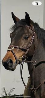 CWD bruin mexicaans hoofdstel maat 3, Dieren en Toebehoren, Paarden en Pony's | Hoofdstellen en Tuigage, Ophalen of Verzenden