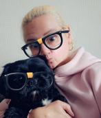 Hondenoppas/Uitlaatservice, Diensten en Vakmensen, Dieren | Honden | Verzorging, Oppas en Les, Uitlaatservice