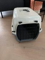 Reismand kat, Dieren en Toebehoren, Ophalen, Gebruikt