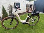 Elektrische Riese & Müller swing BlueLabel, Fietsen en Brommers, 47 tot 51 cm, Ophalen, Gebruikt