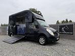 Renault Master Paardenwagen MVV 3XL | 2017 | Hengst | 39.000