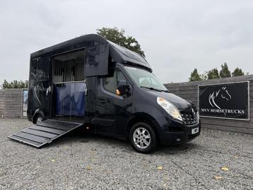 Renault Master Paardenwagen MVV 3XL | 2017 | HENGST | 39.000 beschikbaar voor biedingen
