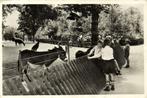 Wandelbosch Groenendaal, Heemstede, Dierenpark - volk ezel p, Verzamelen, Ansichtkaarten | Nederland, Ophalen of Verzenden, 1940 tot 1960
