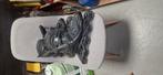 Roces skeelers, Ophalen, Inline skates 4 wielen, Verstelbaar, Gebruikt