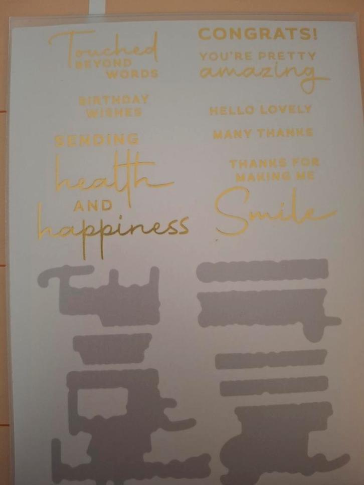 Nieuwe Spellbinders hot foil en snijmallen sentiments, Hobby en Vrije tijd, Scrapbooking, Nieuw, Frame of Mal, Overige merken