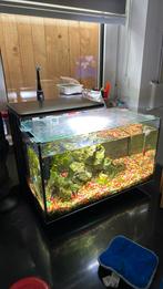 Aqarium, Dieren en Toebehoren, Vissen | Aquaria en Toebehoren, Ophalen, Zo goed als nieuw, Leeg aquarium