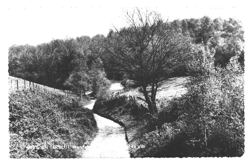 945866 Berg en Terblijt Limburg 1964 Wandelweg Geuldal  Vilt