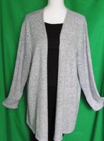 g1  LEUK DAMES VEST van JANINA Maat:52, Kleding | Dames, Grote Maten, Ophalen of Verzenden, Zo goed als nieuw, Overige kleuren