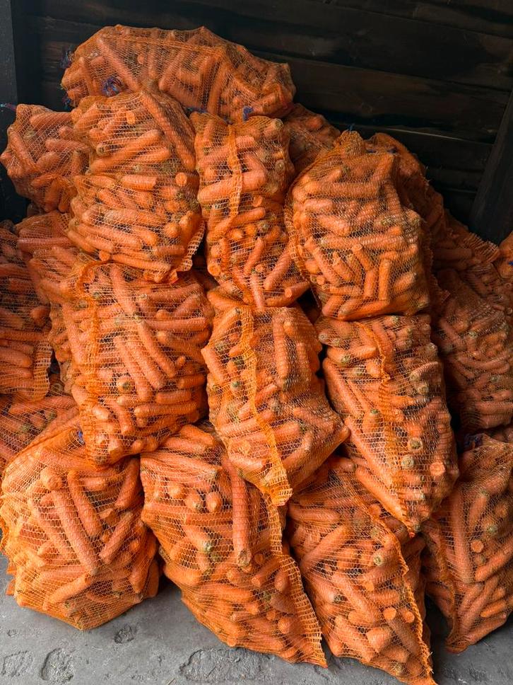 Verse gewassen wortels!, Dieren en Toebehoren, Dierenvoeding, Vee, Ophalen of Verzenden