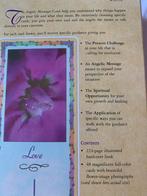 Angelic Messenger Cards met Boek, Ophalen of Verzenden, Zo goed als nieuw, Spiritualiteit algemeen, Overige typen