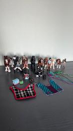 Schleich paarden set helemaal compleet!, Ophalen of Verzenden, Zo goed als nieuw
