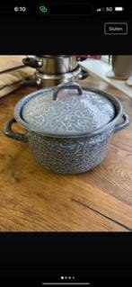 kookpan, Huis en Inrichting, Keuken | Potten en Pannen, Ophalen of Verzenden, Zo goed als nieuw, Rvs, Kookpan of Snelkookpan