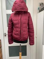 America today gewatteerde jas maat m wijnrood warm capuchon, Maat 38/40 (M), Ophalen of Verzenden, America Today, Gedragen