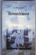 Bernlef, J. - Hersenschimmen, Boeken, Ophalen of Verzenden, Zo goed als nieuw, Bernlef, J. - Hersenschim, Nederland