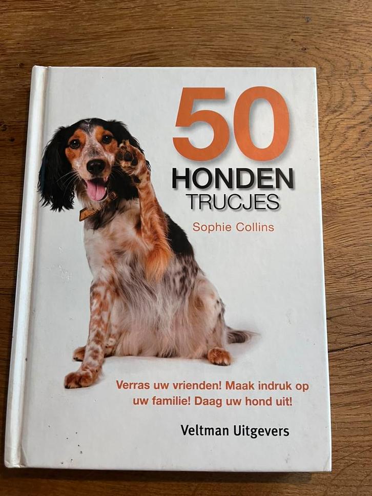 Sophie Collins - 50 Hondentrucjes, Boeken, Dieren en Huisdieren, Zo goed als nieuw, Honden, Ophalen of Verzenden