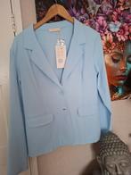 Triple Nine Blazer Baby Blauw XXL - Klein Gaatje, Kleding | Dames, Jasjes, Kostuums en Pakken, Triple Nine, Blauw, Maat 46/48 (XL) of groter