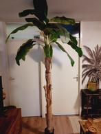 Kunst bananenboom 2 meter 40 cm H en zeer goede kwaliteit, Ophalen, Zo goed als nieuw