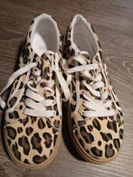 Tijgerprint Schoenen - Maat 40/41 (valt kleiner), Ophalen, Zo goed als nieuw, Beige, Sneakers of Gympen