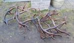 Prachtige gewei 16! geweien lamp kroonluchter kroonluchters, Ophalen, Zo goed als nieuw, Overige materialen, Stoer sober antiek industrieel curiosa vintage