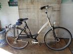 batavus jakima € 325.00, Ophalen, Versnellingen, Batavus, 53 tot 56 cm