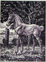 Mooie en betaalbare kunst v/h Grafiekkabinet Nico Bulder, Verzenden