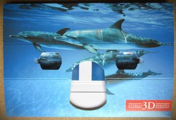 3D Stereo kaart~Dolfijnen~soort viewmaster~Nieuw-Zeeland beschikbaar voor biedingen