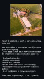 Stalling aangeboden, Dieren en Toebehoren, Stalling en Weidegang, Stalling