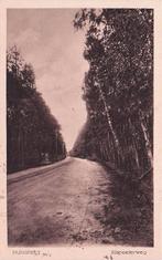 Nunspeet - Elspeeterweg (door het bos) gel. 1921, Ophalen of Verzenden, 1920 tot 1940, Gelopen, Gelderland