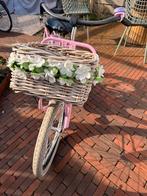 Roze Alpina Clubb meisjesfiets 22 inch - Gebruikt, Fietsen en Brommers, Fietsen | Kinderfietsjes, Ophalen, Gebruikt, 20 inch of meer