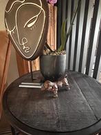 beeld teckel gietijzer, Ophalen of Verzenden, Zo goed als nieuw, Dier