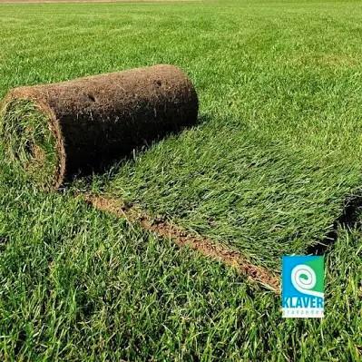 Gezocht: Graszoden 3m2, Tuin en Terras, Gras en Kunstgras, Nieuw, Minder dan 10 m², Ophalen