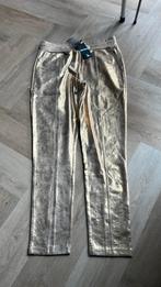 Dames broek maat XL Mi Piace, Overige kleuren, Maat 46/48 (XL) of groter, Nieuw, Ophalen of Verzenden