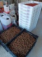 peanuts liver premium boilies, Ophalen of Verzenden, Nieuw, Overige typen