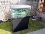 Mooi aquarium, Ophalen of Verzenden, Zo goed als nieuw, Leeg aquarium
