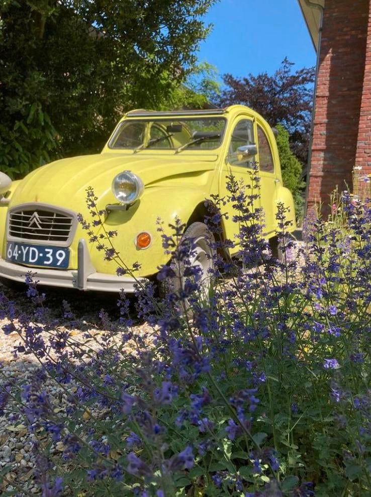 Schitterende patina 2Cv ZDZ uit 1977, Voorwielaandrijving, Zwart, Overige kleuren, Citroën