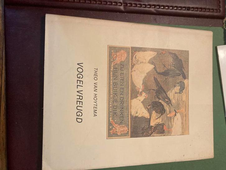 Vogelvreugd - Theo van Hoytema, Boeken, Overige Boeken, Gelezen, Ophalen of Verzenden