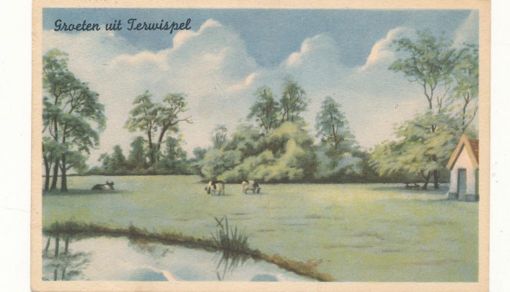 9810 Groeten uit Terwispel, Verzamelen, Ophalen of Verzenden, 1940 tot 1960, Limburg