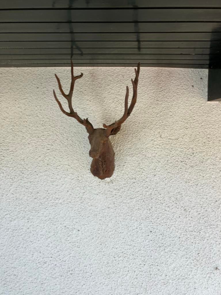 Decoratieve Hertenkop Wanddecoratie, Antiek en Kunst, Ophalen