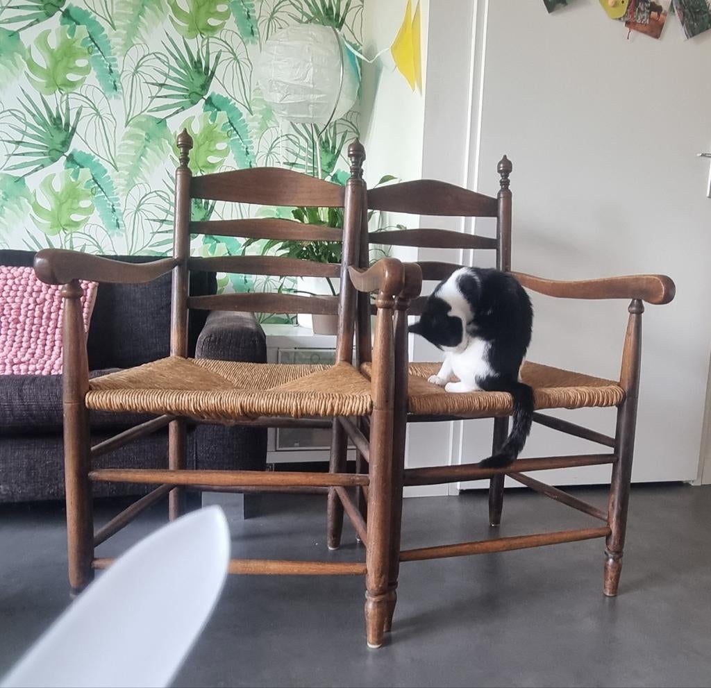 Set van 2  houten stoelen met rieten zitting, Ophalen