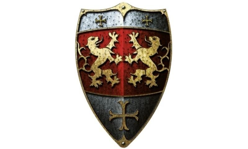 larp, schild, schilden, viking, middeleeuws, schield, Hobby en Vrije tijd, Ophalen of Verzenden, Nieuw, Accessoires